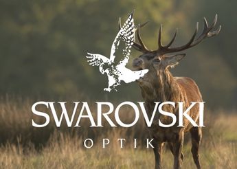 Swarovski for sale South Africa